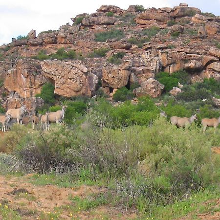 Traveller'S Rest Villa Clanwilliam Buitenkant foto